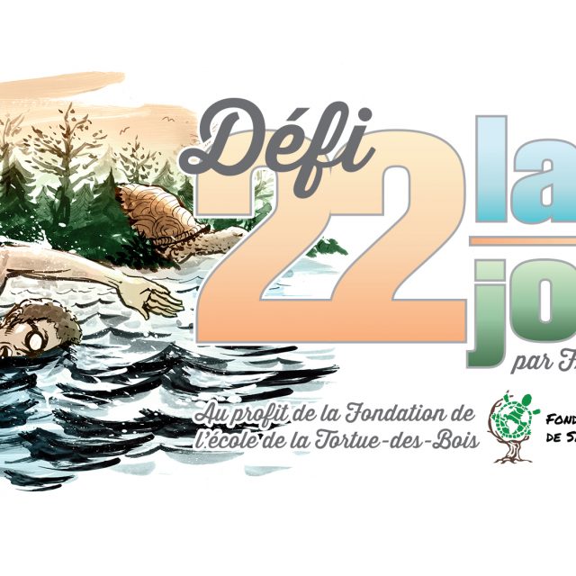 TDD-SW-site-22L22J-écran