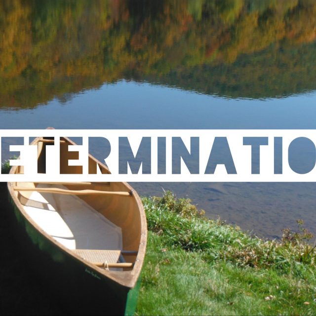 Détermination