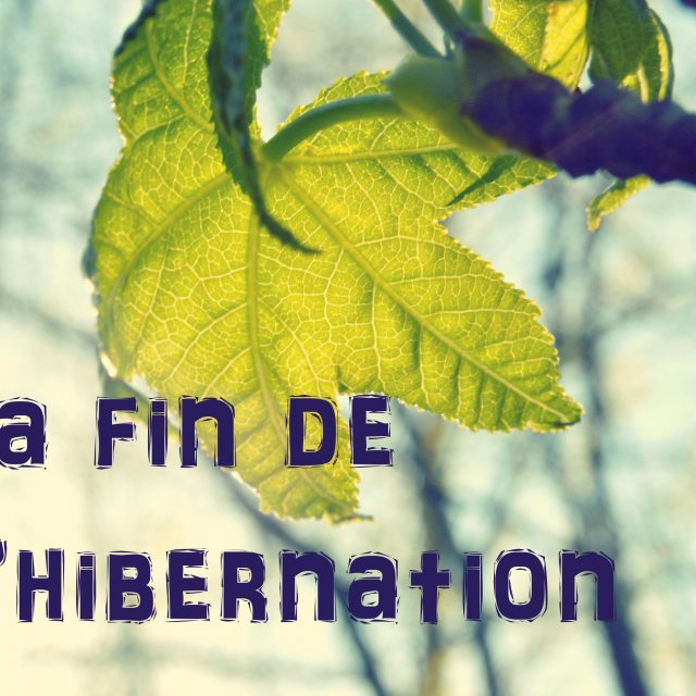 La fin de l'hibernation