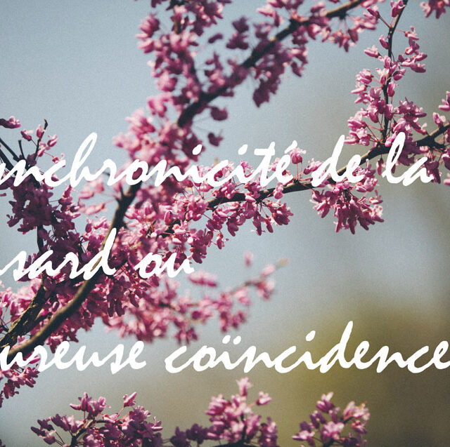 Synchronicité de la vie, hasard ou heureuse coïncidence ?